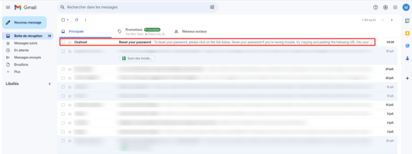 Consultation de l'email de réinitialisation du mot de passe